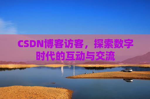 CSDN博客访客，探索数字时代的互动与交流